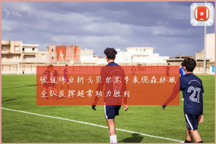 张佳玮分析戈贝尔末节表现森林狼全队发挥超常助力胜利