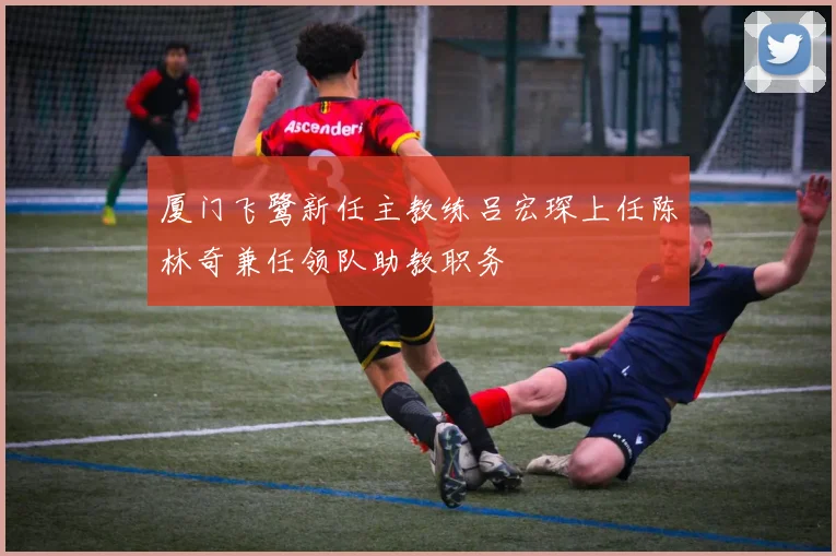 厦门飞鹭新任主教练吕宏琛上任陈林奇兼任领队助教职务