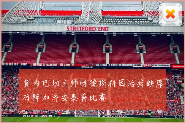 费内巴切主帅特德斯科因治疗缺席对阵加济安泰普比赛