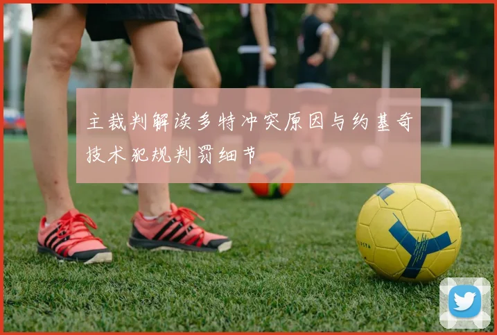 主裁判解读多特冲突原因与约基奇技术犯规判罚细节