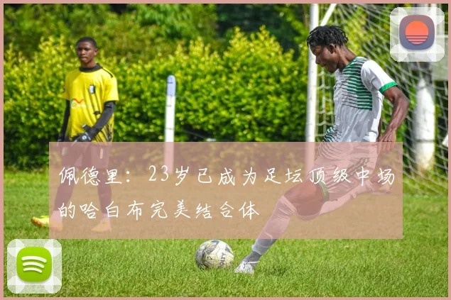 佩德里：23岁已成为足坛顶级中场的哈白布完美结合体
